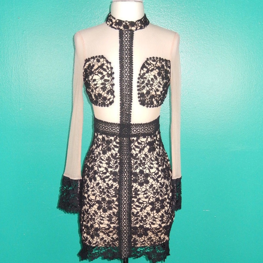 Angel Biba Mesh Dress